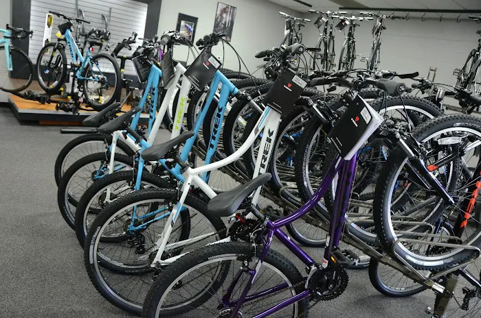 Sumbaum Cycle Picture 5