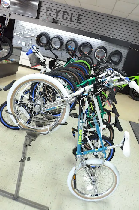 Sumbaum Cycle Picture 9