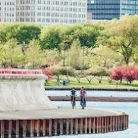 Trek Bicycle - Naperville ico
