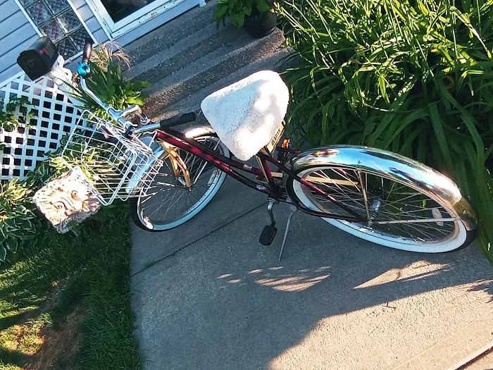 Leo's Mobile Bicycle Service Picture 3