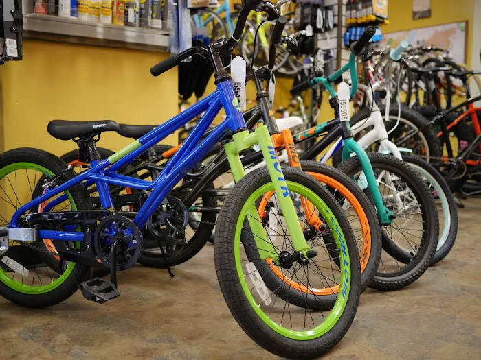 Green Bay Cycles Picture 5
