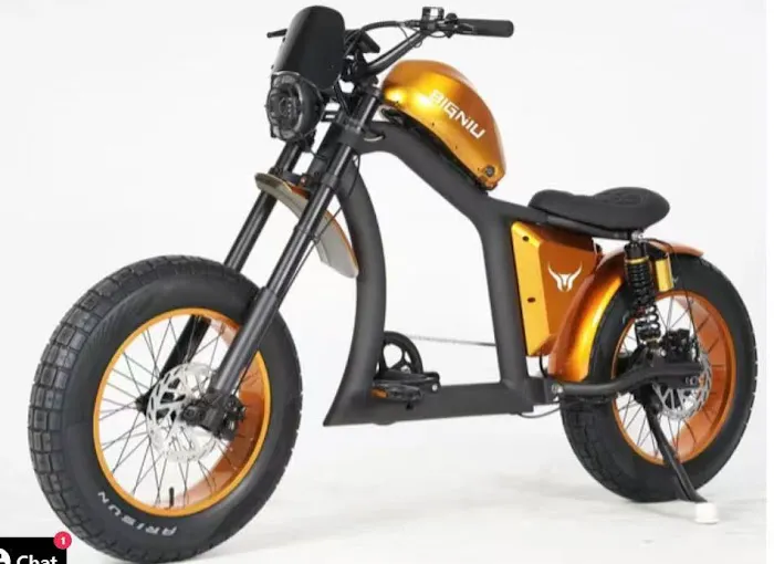 Ebike X Picture 3