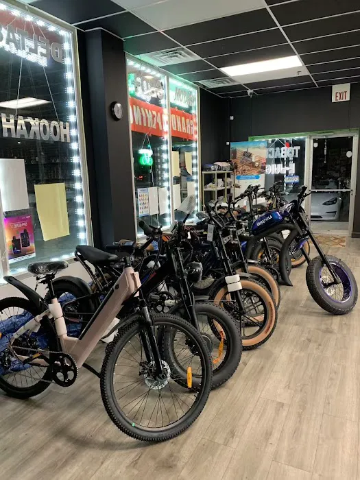 Ebike X Picture 1