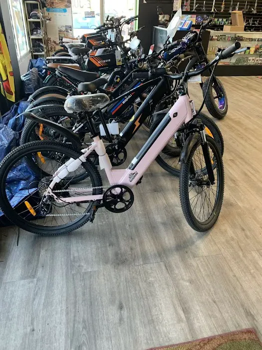 Ebike X Picture 5