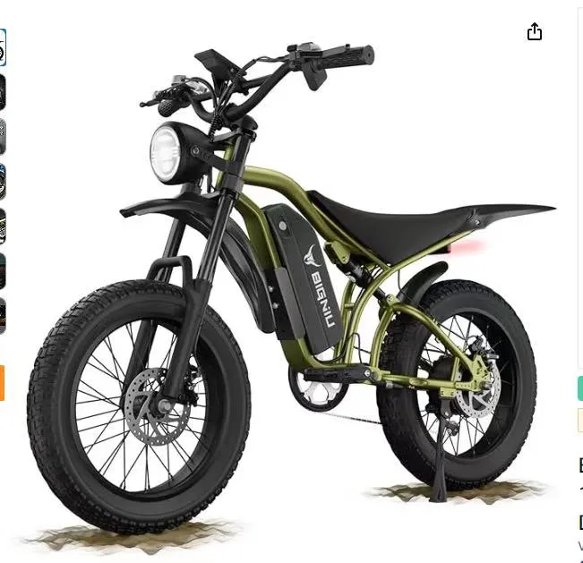 Ebike X Picture 4