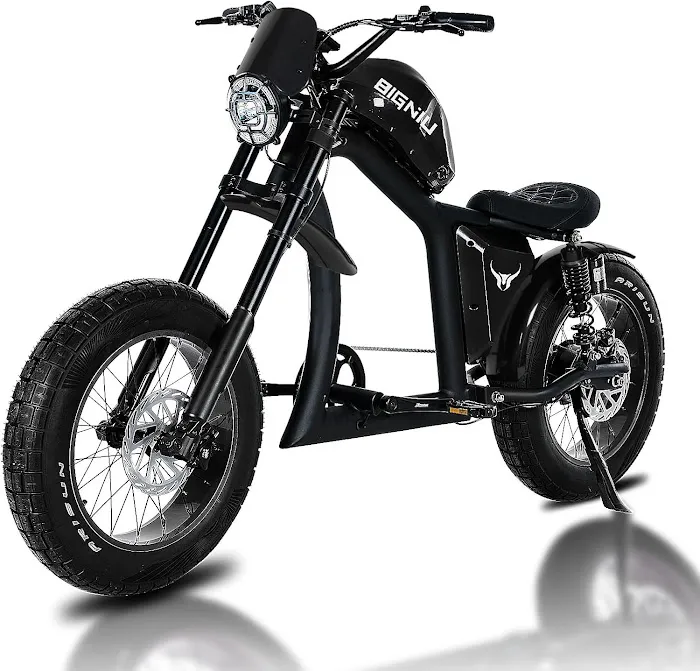 Ebike X Picture 7