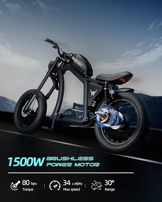 Ebike X Picture 10