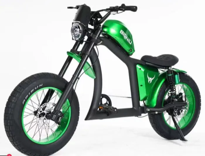 Ebike X Picture 8