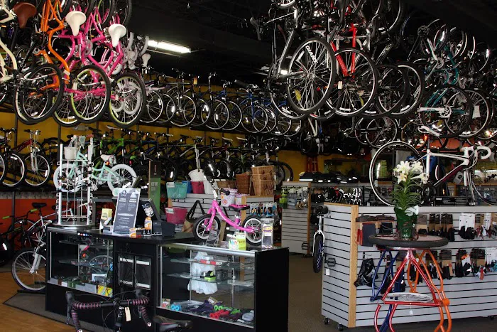 The Bike Rack Oswego - formerly Oswego Cyclery Picture 3