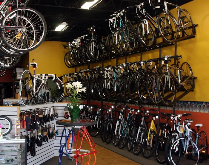 The Bike Rack Oswego - formerly Oswego Cyclery Picture 4