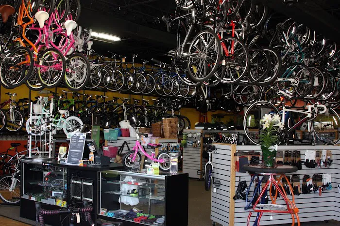 The Bike Rack Oswego - formerly Oswego Cyclery Picture 8