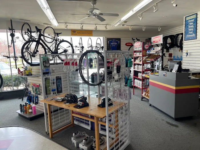 Spin Doctor Cyclewerks Picture 6