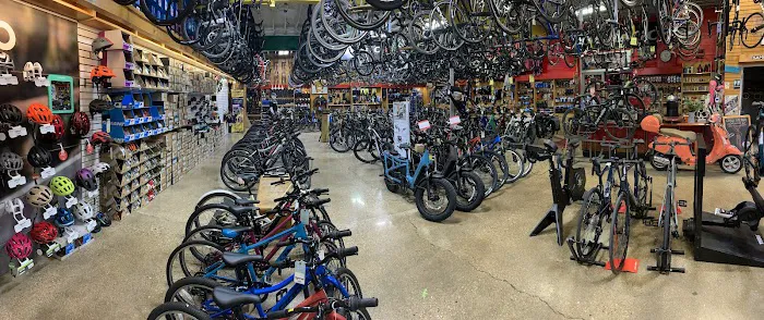 Sammy's Bikes Picture 2