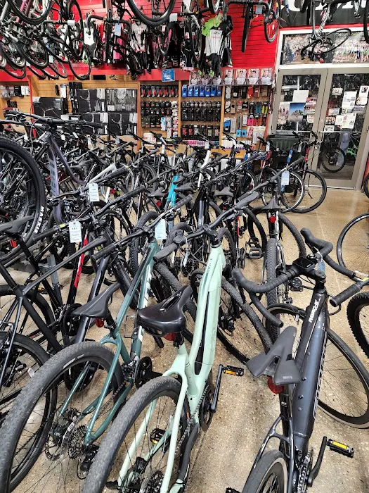 Sammy's Bikes Picture 7