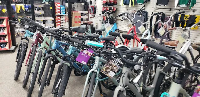 Mikes Bike Shop Picture 8