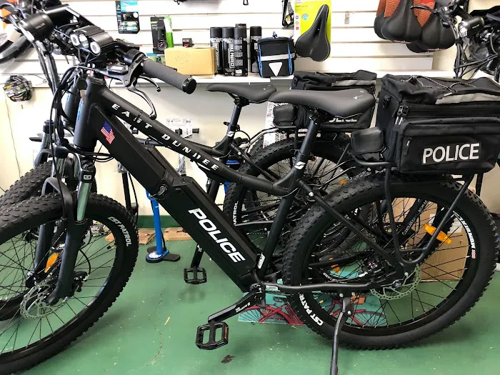 Samcycle Electric Bikes Picture 4