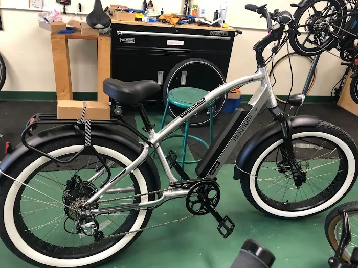 Samcycle Electric Bikes Picture 6