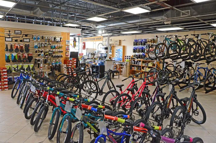 Crank Revolution Bike Shop Picture 3