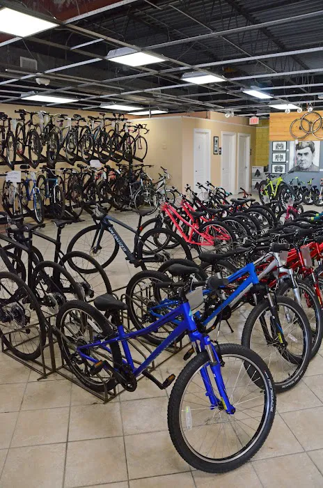 Crank Revolution Bike Shop Picture 6