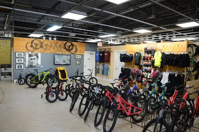 Crank Revolution Bike Shop Picture 5