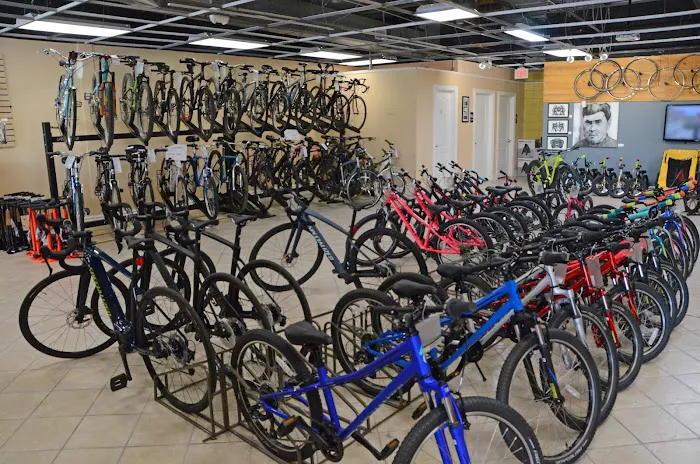 Crank Revolution Bike Shop Picture 8