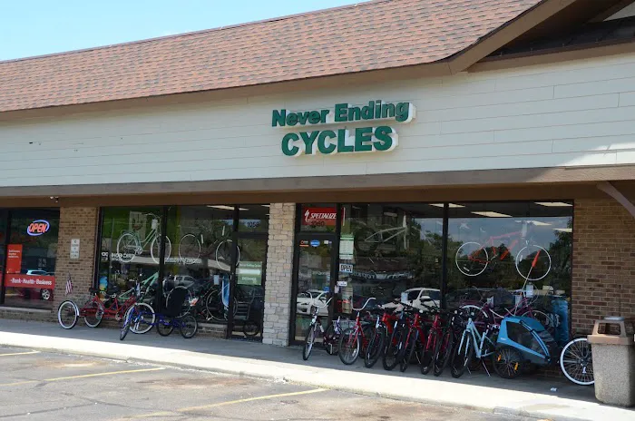 Never Ending Cycles Picture 2