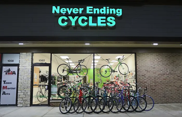 Never Ending Cycles Picture 5