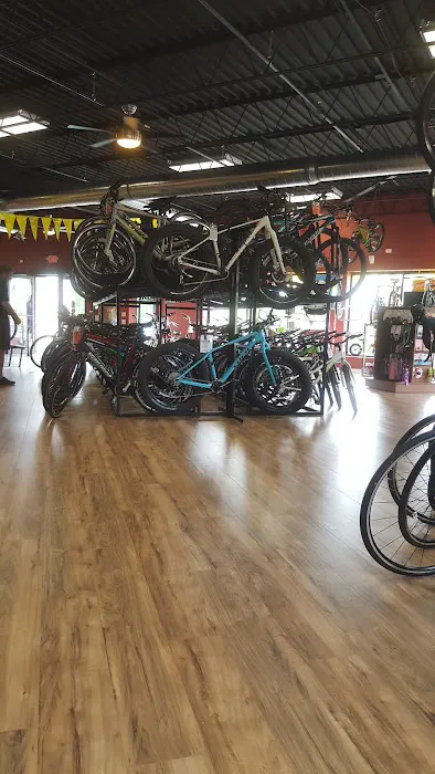 Village CycleSport Picture 2