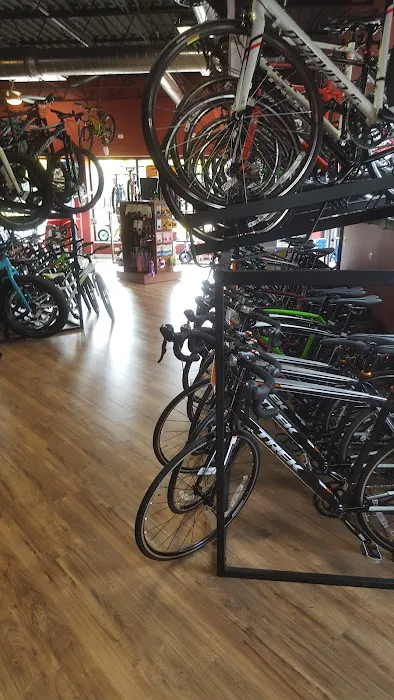 Village CycleSport Picture 5