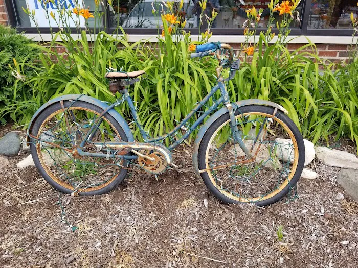 Village CycleSport Picture 4