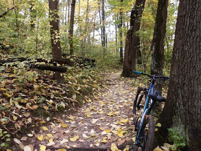 Chesterton Bicycle Station Picture 10
