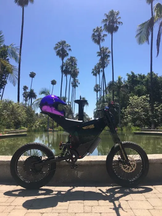 Corbinfiber Electricycles Picture 5
