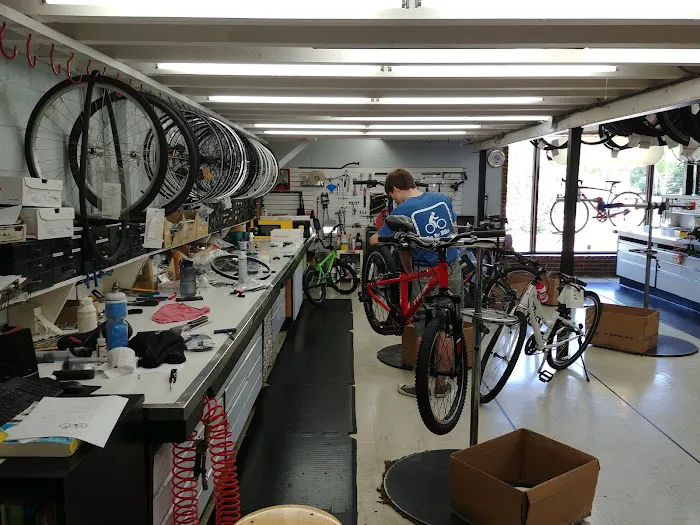 George Garner Cyclery Lake Zurich Picture 4