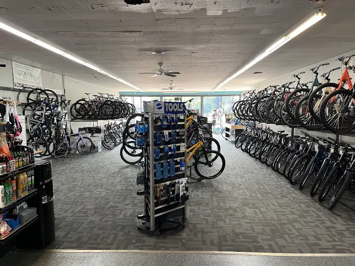 Lucky Brake Bicycles Picture 6