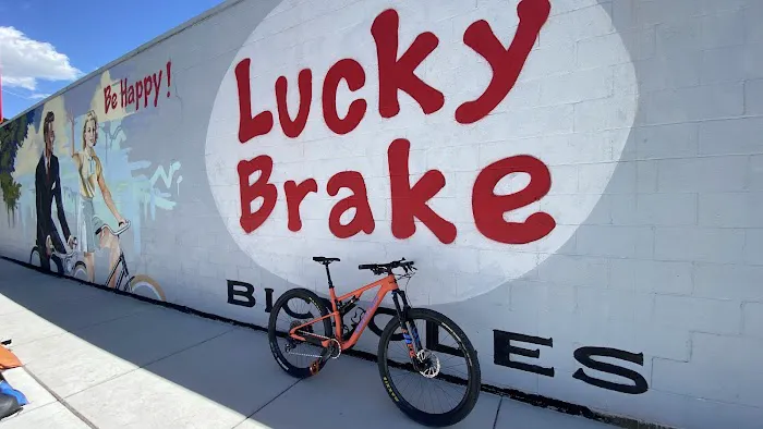 Lucky Brake Bicycles Picture 8
