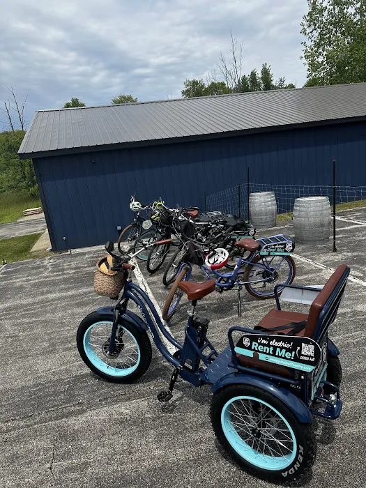 Pedego Electric Bikes Harbor Country Picture 6