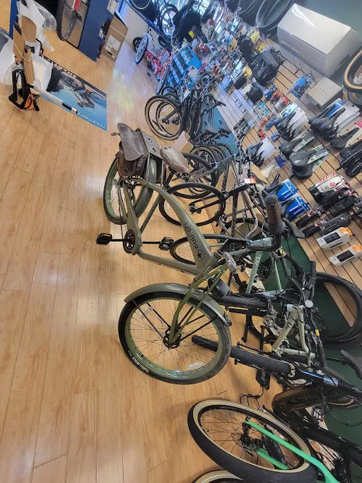 Jackson Family Cycle Picture 5