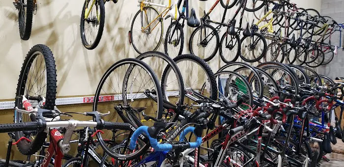 Bikes Again Picture 3