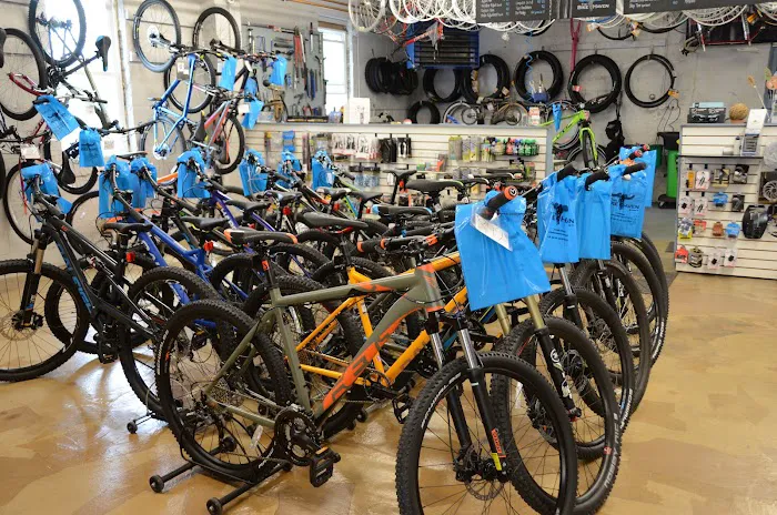 The Bike Haven Picture 2