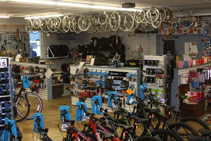 The Bike Haven Picture 9