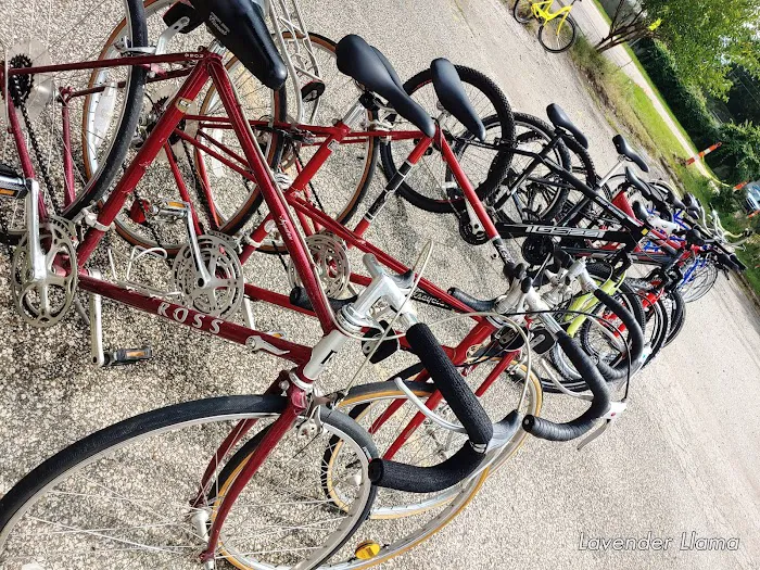 Swift Cycle Picture 6
