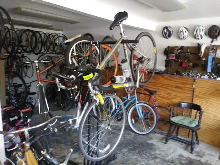 Swift Cycle Picture 5