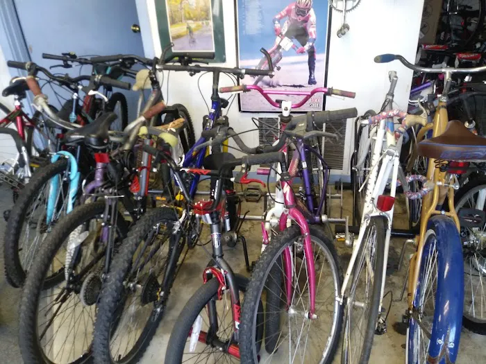Swift Cycle Picture 4