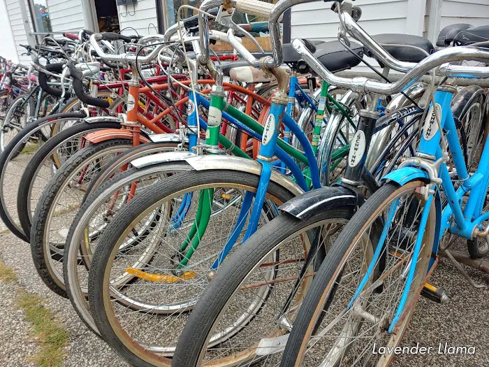 Swift Cycle Picture 7