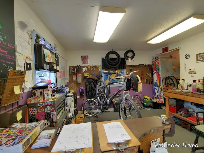 Swift Cycle Picture 8