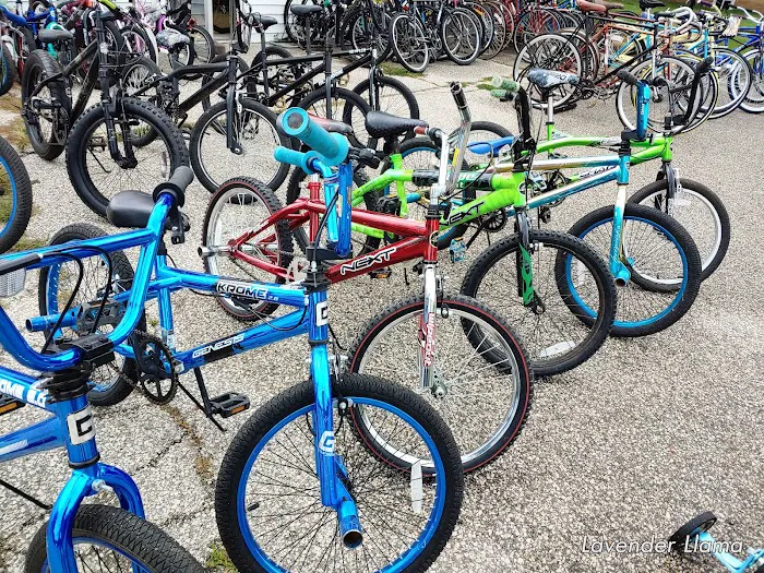 Swift Cycle Picture 10