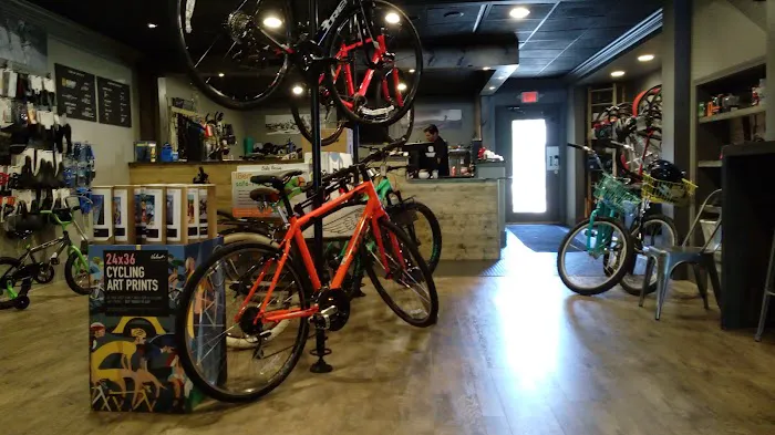Avant Cycles Picture 4