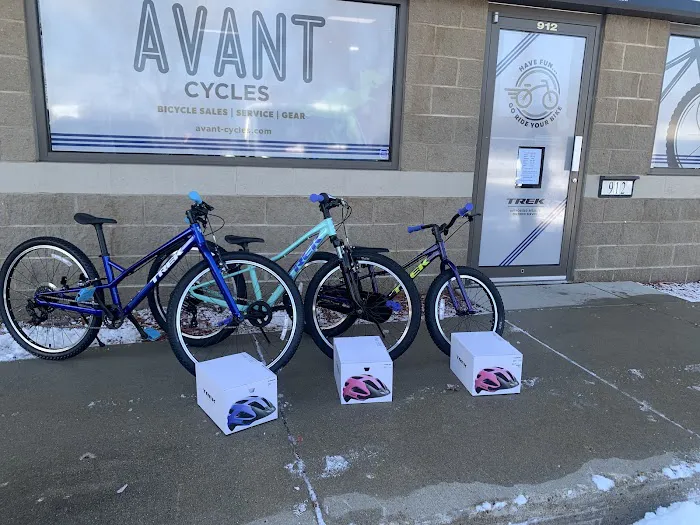 Avant Cycles Picture 5