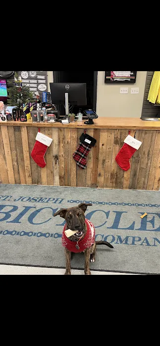 St. Joseph Bicycle Company Picture 2