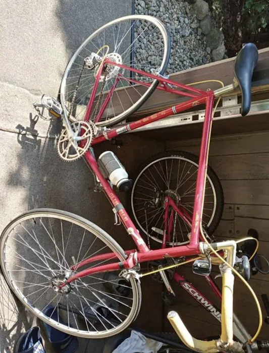 Pro Form Bike Shop Picture 4